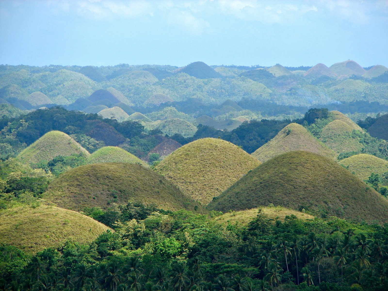 Chocolate Hills Bohol