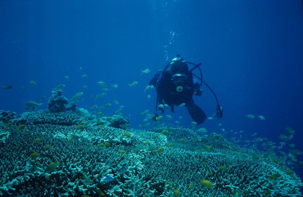 Mactan Island Scuba Diving Cebu