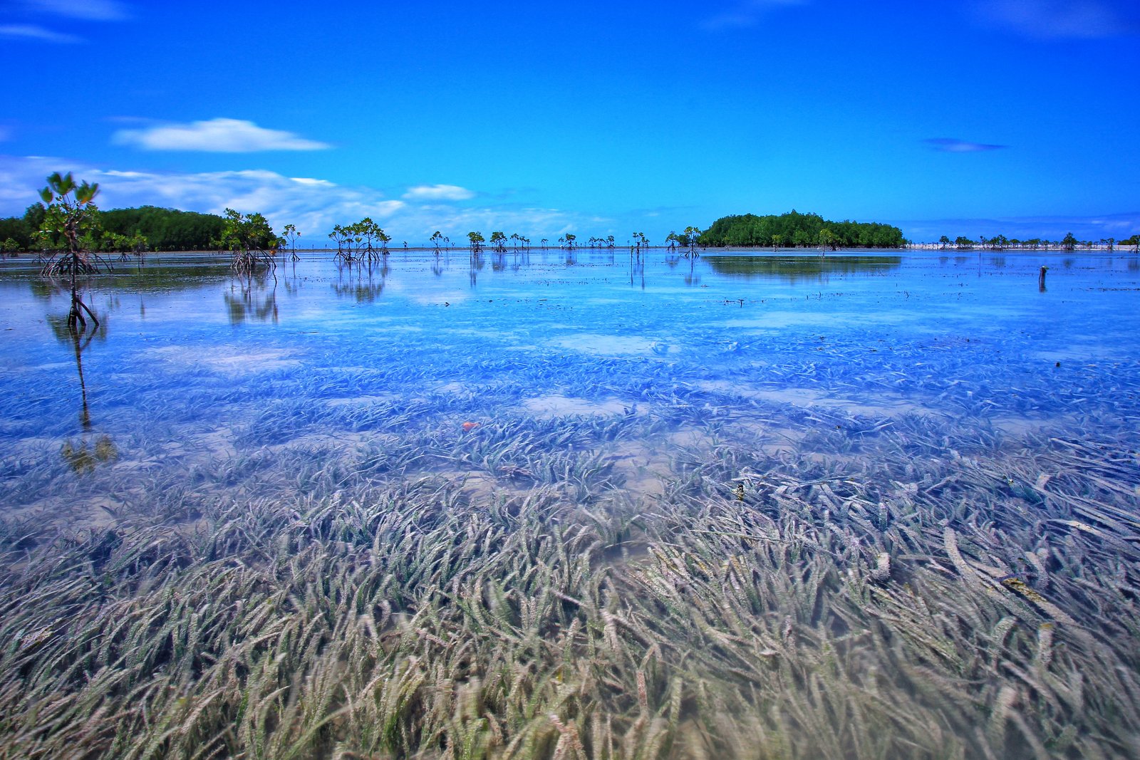 Olango Island Wildlife Sanctuary