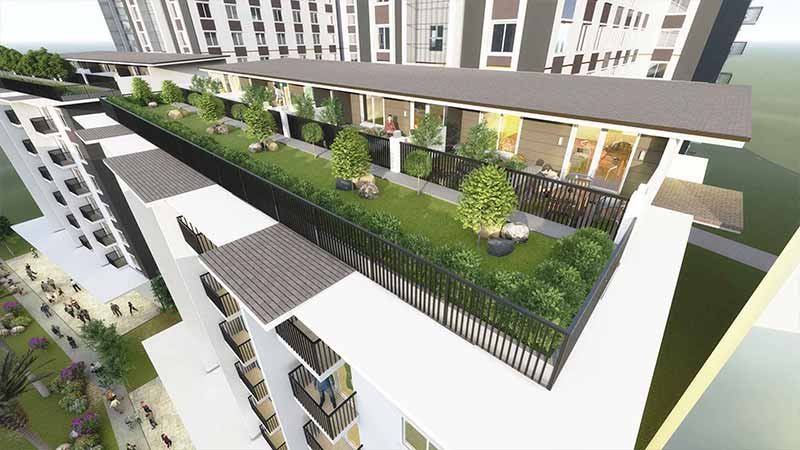 Rooftop Garden