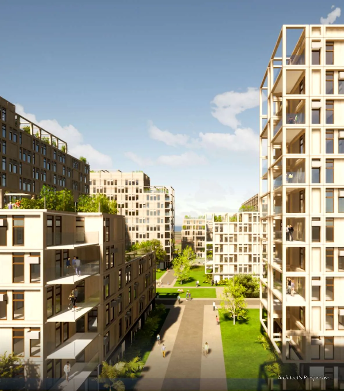 East Village DGT 10
